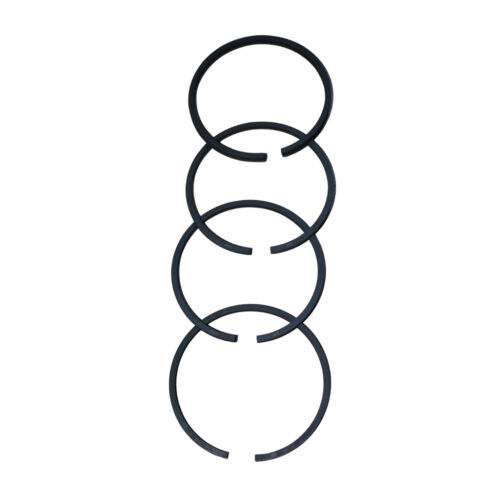 SEGMENTS COMP RVI d65 (2.5+2.5+2.5+4) (SM)