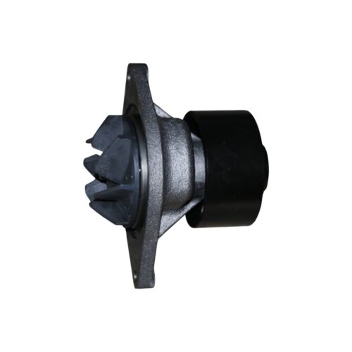 POMPE A EAU RVI SERIE CH, G, GH
