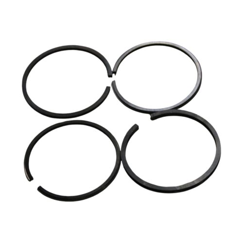 SEGMENTS COMP RVI d65 (2.5+2.5+2.5+4) (MAHLE)