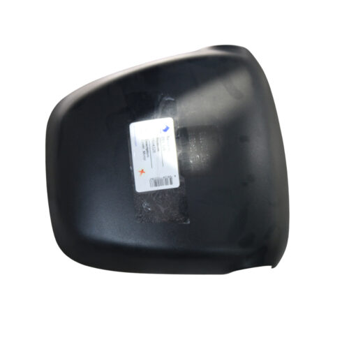 REVETEMENT RETROVISEUR EXT G/D