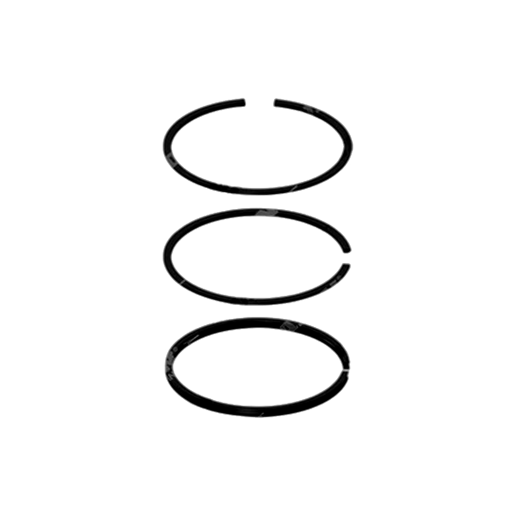 SEGMENTS COMP RVI MANAGER d65 (2+2+4)