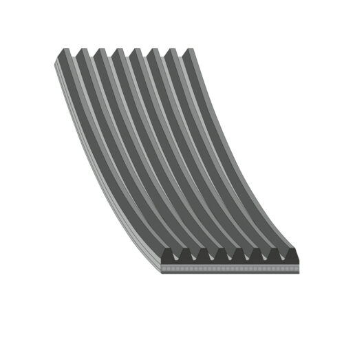 COURROIE DAF 45FA/55FA 8PK1455 à 8PK1463