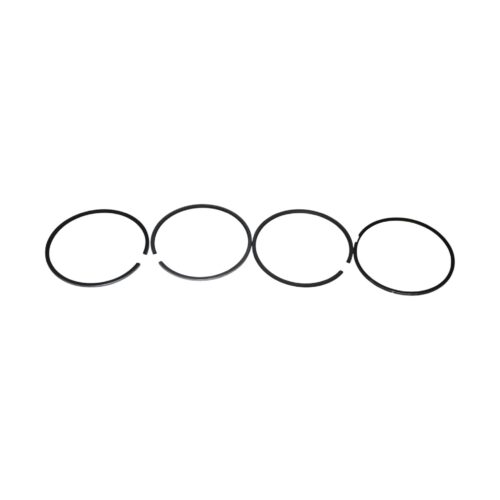 SEGMENTS GLR230 (CYL) d120 (3.25+3+3+4) (GOETZE)