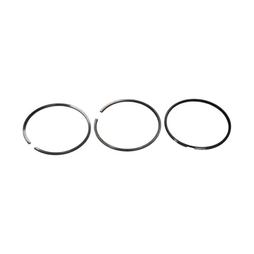 SEGMENTS OM352A 1EC/OM366A STD (MAHLE) (2.5+2.5+4)
