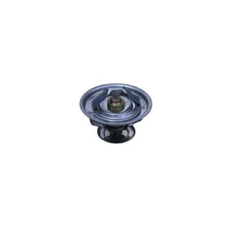THERMOSTAT RVI