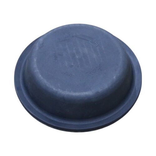 COUPELLE MEMBRANE AV 1924 d20