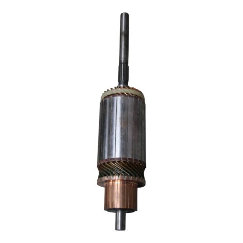 INDUIT DEMARREUR RVI (P/C D13E123TE)