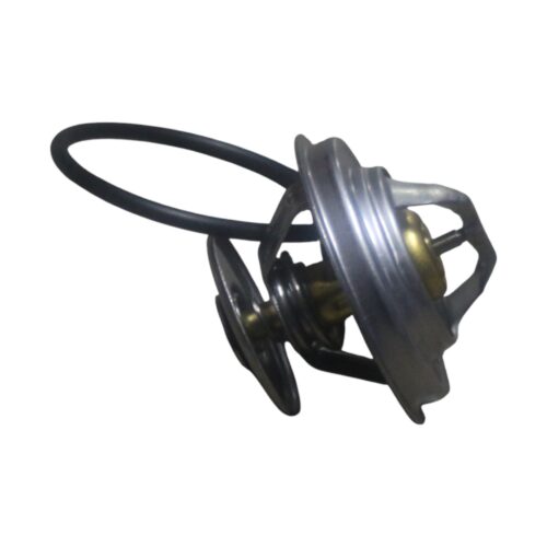 THERMOSTAT 65°C